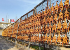 单日线上订单最百单