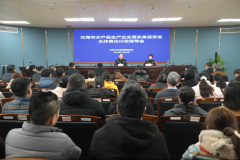  无视问题、罗致相