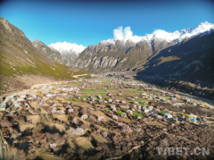 <b>强化商业政策和财税、金融、财产政策</b>